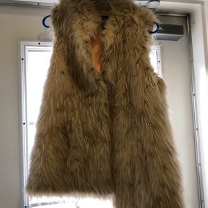 Rachel Zoe fur vest